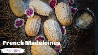 French Madeleines Recipe [upl. by Leibarg]