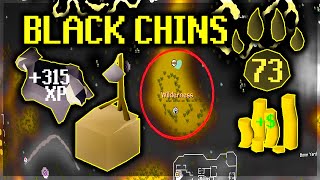 Black Chinchompa Money Making Guide  Old school runescape [upl. by Talbert]