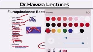 Flouroquinolones Clinical uses Bacterial Targets Mechanism of Action UrduHindi [upl. by Esyak]