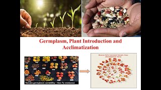 Germplasm Plant Introduction and Acclimatization Part One [upl. by Amak]