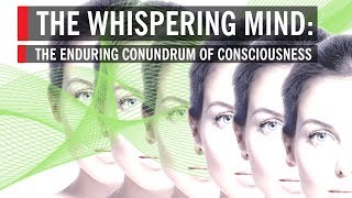 The Whispering Mind The Enduring Conundrum of Consciousness [upl. by Ecyac]