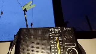 SW 11815kHz NHK WORLD RJ Japanese using Owire dipole 🌎📻 21SEP2024 [upl. by Eintrok]