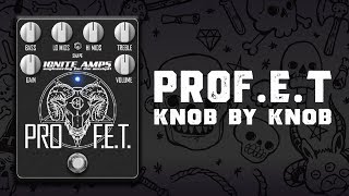 ProFET by Ignite Amps  KNOB by KNOB  Devils Lab [upl. by Gettings609]