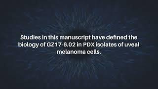 GZ17602 Kills PDX Isolates of Uveal Melanoma  Oncotarget [upl. by Lenette]