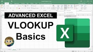 Advanced Excel  VLOOKUP Basics [upl. by Yehsa]