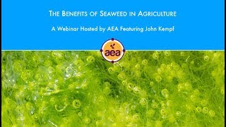 The Benefits of Seaweed in Agriculture [upl. by Linder726]