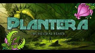 Plantera HD Remix [upl. by Orelia]