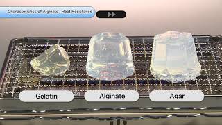 Characteristics of Alginate quotHeat Resistancequot [upl. by Clardy]