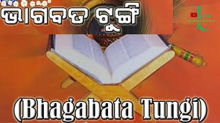 ଭାଗବତ ଟୁଙ୍ଗି  Bhagabata Tungi  Shrimad Bhagwad Geeta  BHAGABATA SARA  ODIA BHAGABATA  bhagaba [upl. by Yajnas]