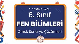 6 Sınıf Fen Bilimleri 2 Dönem 2 Yazılı Örnek Senaryo Çözümleri [upl. by Panter]