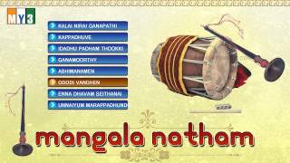 MANGALA NATHAM  NADASWARAM [upl. by Puri]