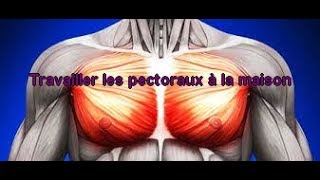 Travailler ses pectoraux sans matériel et rapidement 1 [upl. by Enoved359]