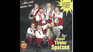 Orig Tiroler Spatzen  02 Wir Sind Wieder Da [upl. by Centonze]