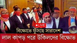 ছাত্রদের খুন হত্যা গুম গণগ্রেফতারে খেপেছে আইনজীবীরা  Quota Andolon News [upl. by Nagn]