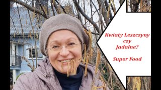 Leszczyna to zioło Jadalne Kwiaty Super Food [upl. by Maloney]