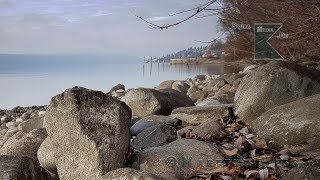 Wintertauchgänge im Bodensee [upl. by Boser]