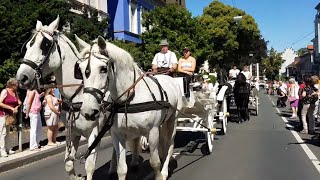 Iserlohn Schützenfest 2018  Festumzug am 8 Juli 2018 zur Alexanderhöhe  der ganze Festumzug [upl. by Sunderland]