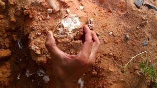 Google Glass in the Gobi Dinosaur Nest [upl. by Raddatz349]