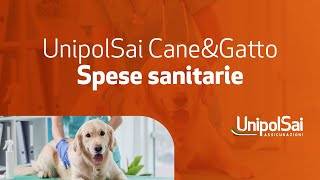 UnipolSai CneampGtto  spese sanitarie [upl. by Plunkett99]