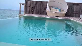 Dusit Thani Maldives  Virtual Vacation [upl. by Ffej]