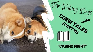 Corgi opens a casino  Hammy and Olivia [upl. by Joly686]