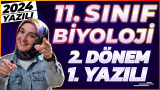 11Sınıf Biyoloji 2Dönem 1Yazılı 2024 yazılı biyoloji [upl. by Ecinrahs]