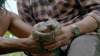 Catching a giant anaconda  Tribes Predators amp Me Episode 1 Preview  BBC Two [upl. by Selimah765]