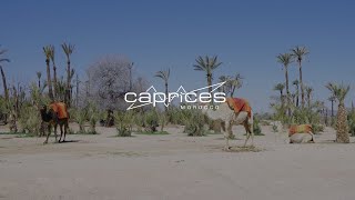 Caprices Festival MOROCCO Marrakech 2023  Official Aftermovie [upl. by Mathe]