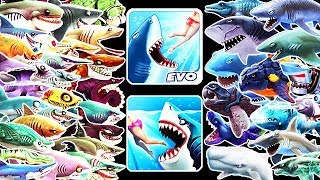 ALL HUNGRY SHARK WORLD IN REAL LIFE NEW 2023 FRANCIS MANTA RAY UPDATE [upl. by Gretta]