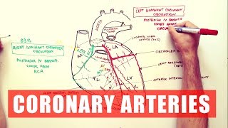 Coronary Arteries  Anatomy Tutorial [upl. by Chevalier]