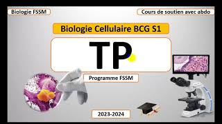 Biologie Cellulaire BCG S1  Partie Travaux Pratique TP FSSM [upl. by Nnaed]