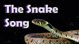 The Snake Song  Reptile Raps [upl. by Sholley]