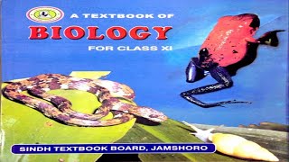 86 LIFE CYCLE OF BASIDIOMYCOTA  CHAPTER 8KINGDOM FUNGI  FIRST YEAR BIOLOGY [upl. by Haggi869]