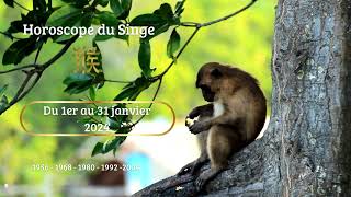 Astrologie Chinoise Horoscope Janvier 2024 Le SINGE neuvième signe du zodiaque [upl. by Weirick]