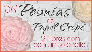 DIY  Peonias de Papel Crepé  2 Flores con un solo rollo 🌺 [upl. by Ahtanoj]