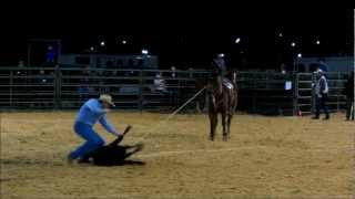 Finished Calf Roping Horse For Sale Will Lane riding Pepper  Tifton GA PCA 3213 795 [upl. by Daj749]