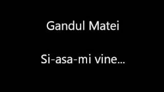 gandul matei  siasami vine [upl. by Suilienroc]