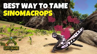 How to Find and Tame Sinomacrops  Ark Survival Evolved [upl. by Leugimsiul]