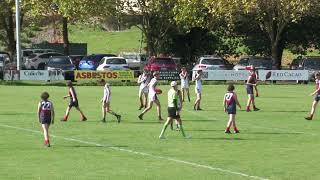 Junior Colts Round 4 Vs Blackwood 2023 [upl. by Florie]