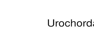 How to pronounce Urochordata [upl. by Analad]