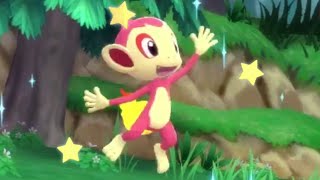 LIVE Shiny Chimchar in Pokemon Brilliant Diamond after 9851 SRs  4 uncatchable Starly [upl. by Stier]