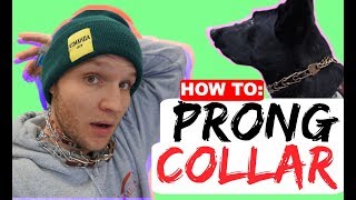 How to properly fit a prong collar  Sizing and position of the prong collar  Dog Training Collars [upl. by Rodama]