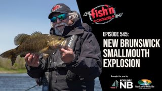 SMALLMOUTH BASS IN NEWBRUNSWICK  Episode 545 New Brunswick Smallmouth Explosion [upl. by Airahs]