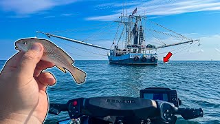 I Tossed a LIVE BAIT Behind this Shrimp Boat and INSTANTLY HOOKED UP to a Giant Fish [upl. by Hnahc]