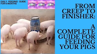 Feeding Pigs from Creep Stage to Finisher StageComplete guide [upl. by Hardi]