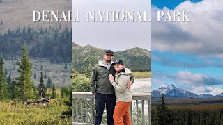 NATIONAL PARK VLOG DENALI  tundra bus tour seeing mt denali and more [upl. by Inva]