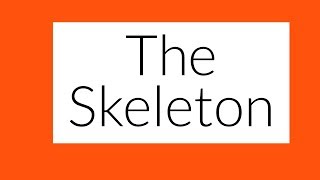 The Skeleton Part 4 SUMMARY of Chapter Leaving Cert Biology [upl. by Releehw]