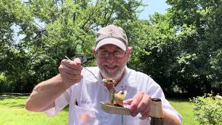 Sardines amp Beer Pairing  The Beer Review Guy [upl. by Ecertap]