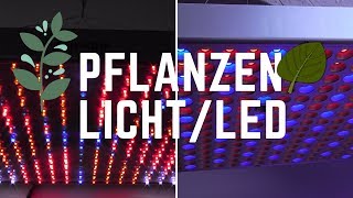 Pflanzenlicht  LED kurz erklärt  Funktion [upl. by Tsew]