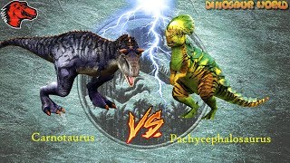 Carnotaurus VS Pachycephalosaurus  Majungasaurus Lv40  Jurassic World The Game 1080P [upl. by Iago]